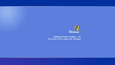 [Fake Windows Update Screens]