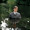 [Lars von Trier]